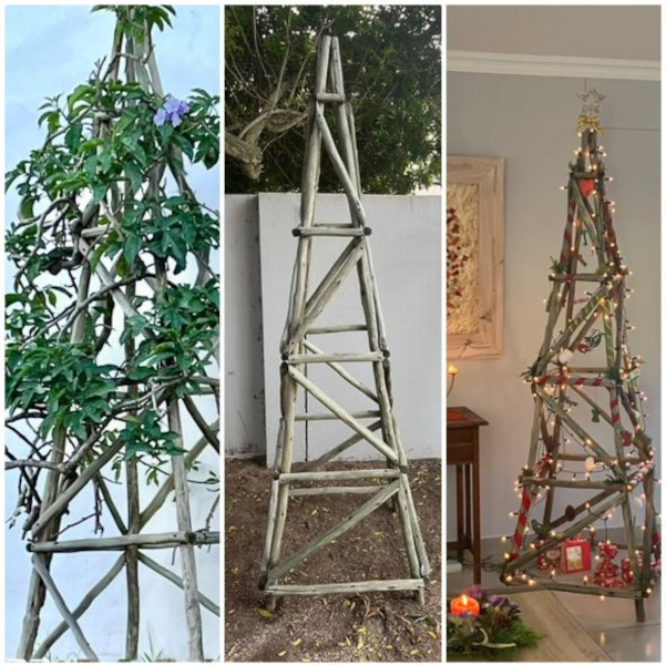 trellis-climber-frame1.jpeg
